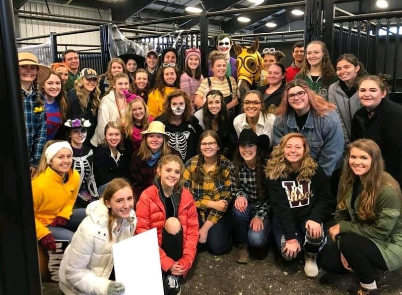 Members and Equine Students at Halloween with the Horses